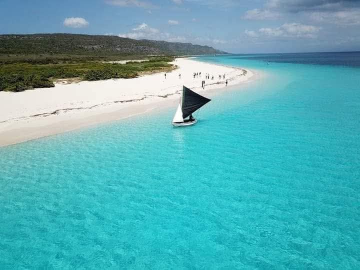 2026, Ayiti dwe reviv! tweet media