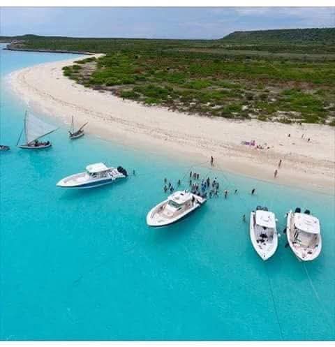 2026, Ayiti dwe reviv! tweet media