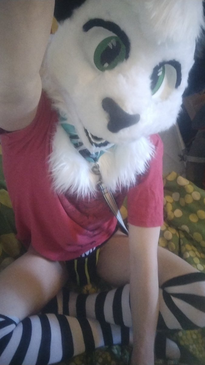 Blizzardfur 🔞 🏳️‍🌈 🔜 FWA tweet media