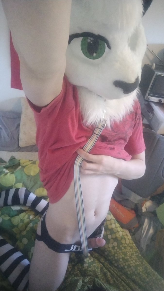Blizzardfur 🔞 🏳️‍🌈 🔜 FWA tweet media