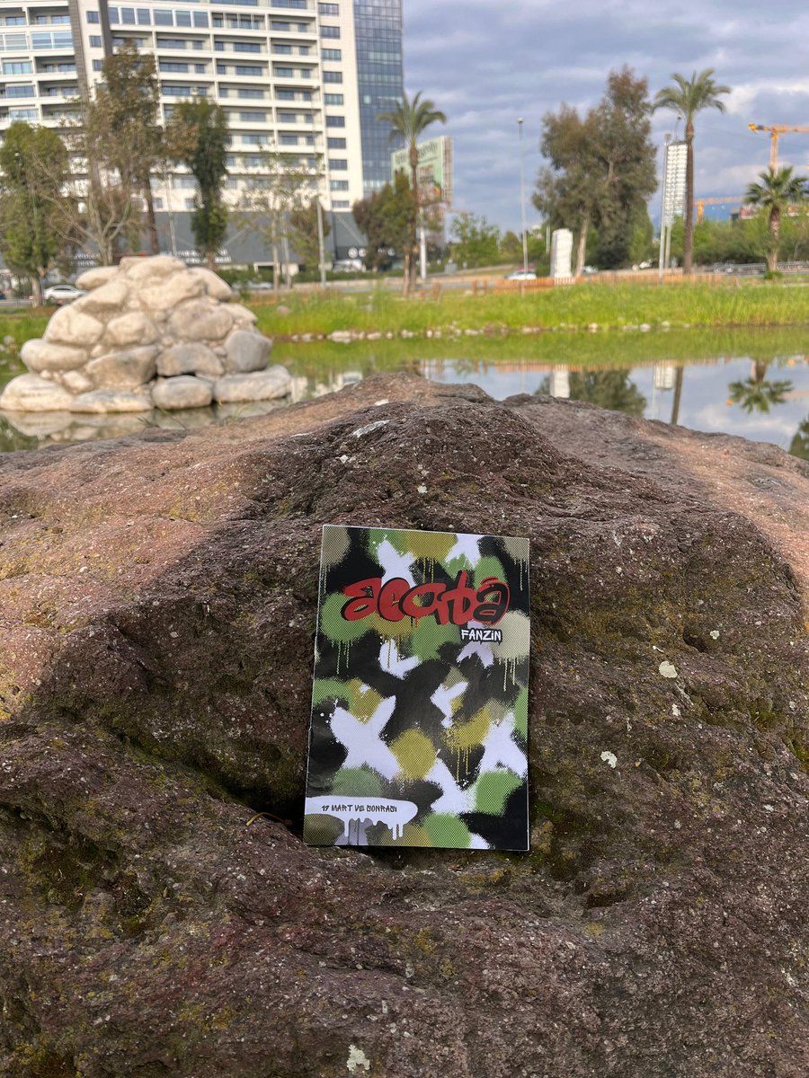 acabaFanzin tweet media