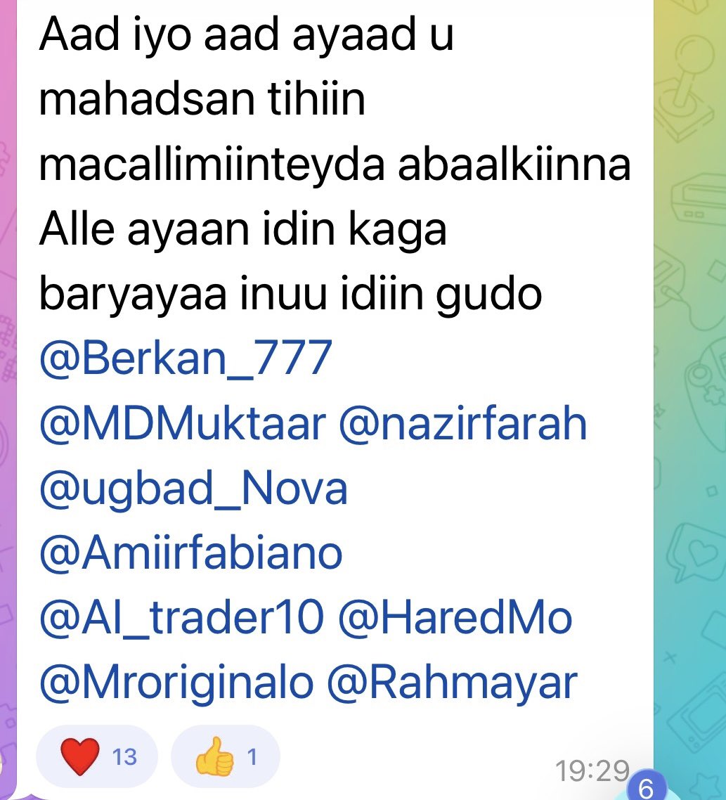 Berkan tweet media