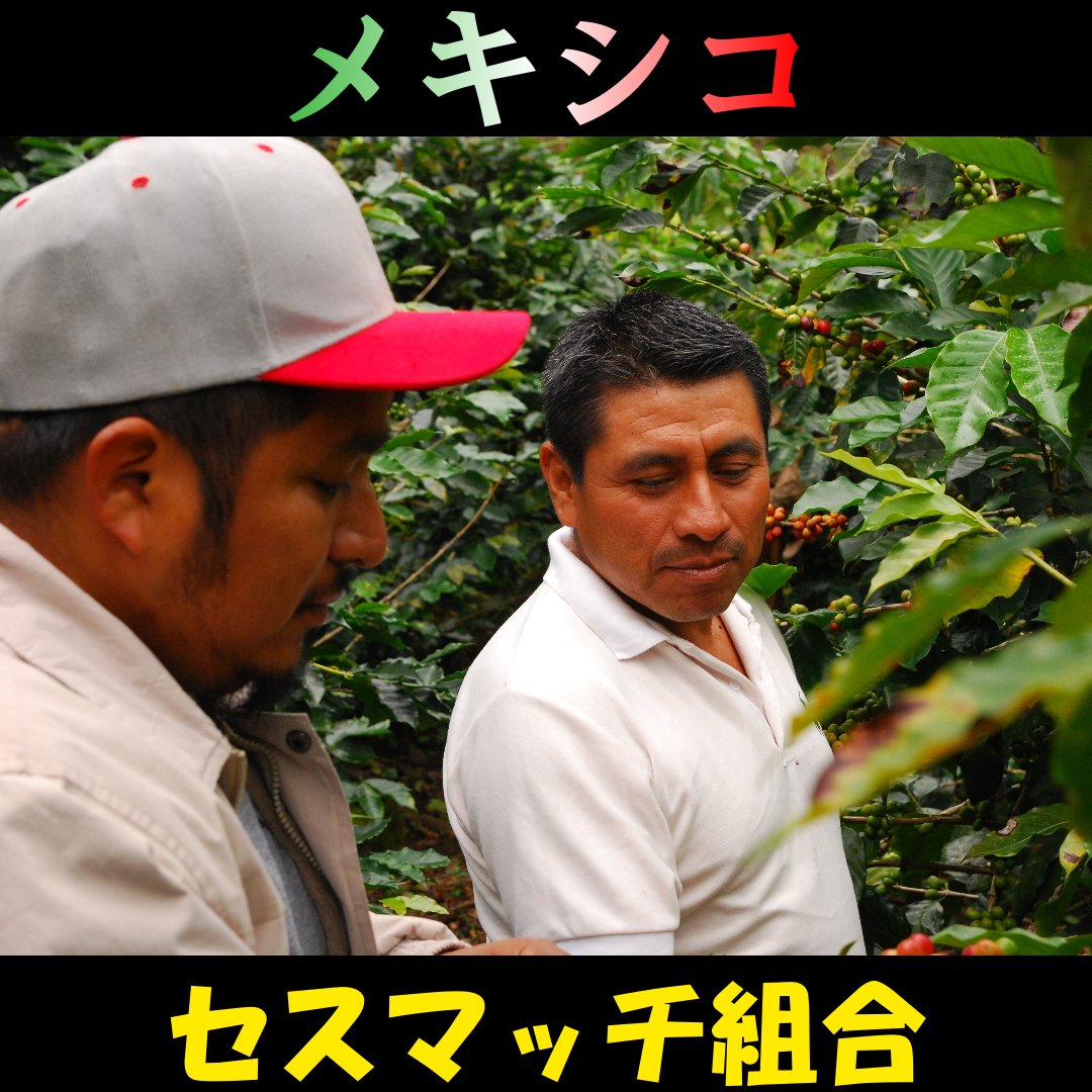 TAKUYA_YOSIOKA's tweet image. 自家焙煎コーヒー豆を販売してます☕
苦くてコクがあるのが魅力である
深煎りとは逆の味に仕上げております
cafetaku.stores.jp
#拓珈琲 #coffee