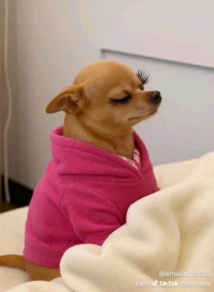 Mhlanga Mhlanga tweet media