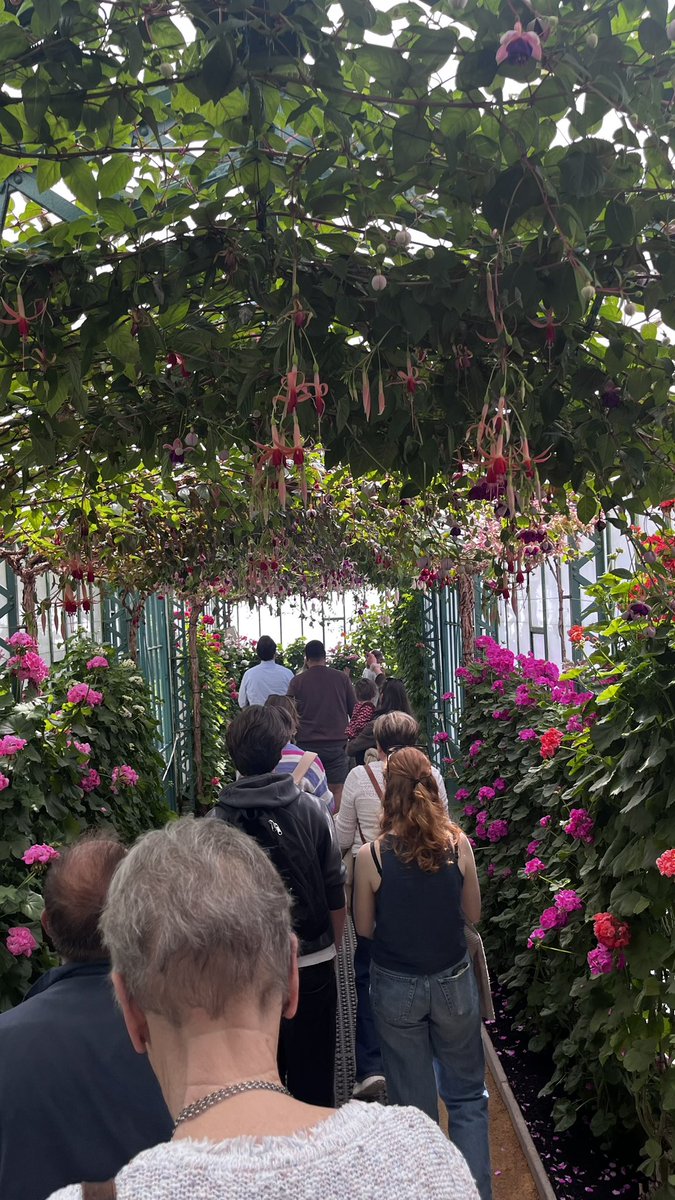 Nastassja Wessels tweet media