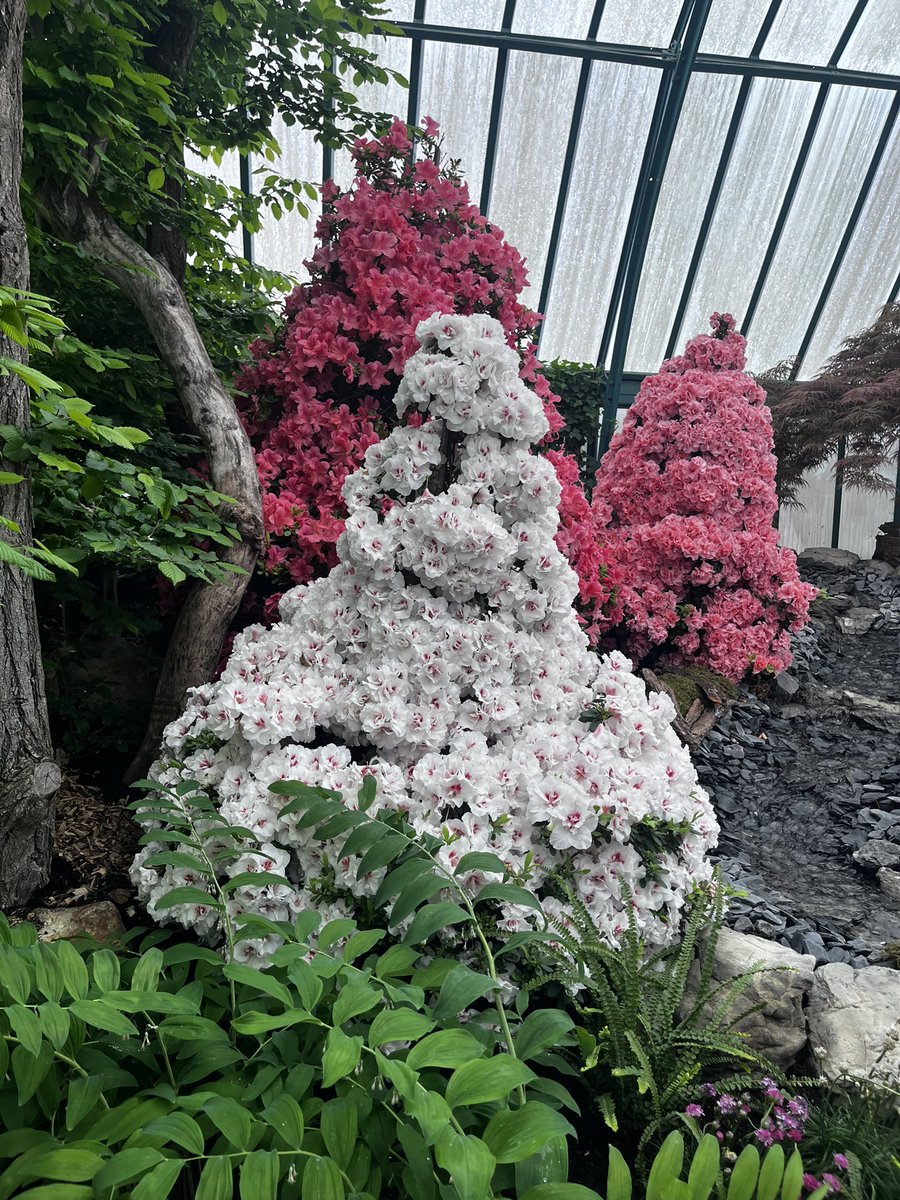 Nastassja Wessels tweet media