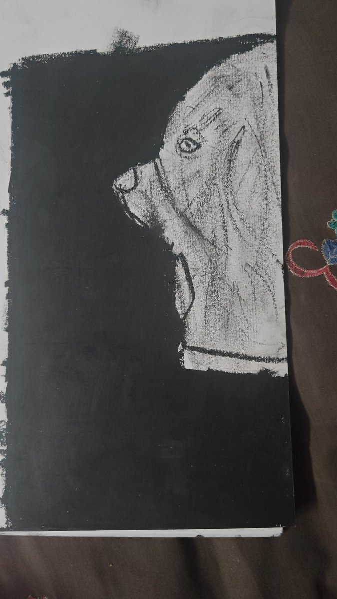 POOJA SHARMA tweet media