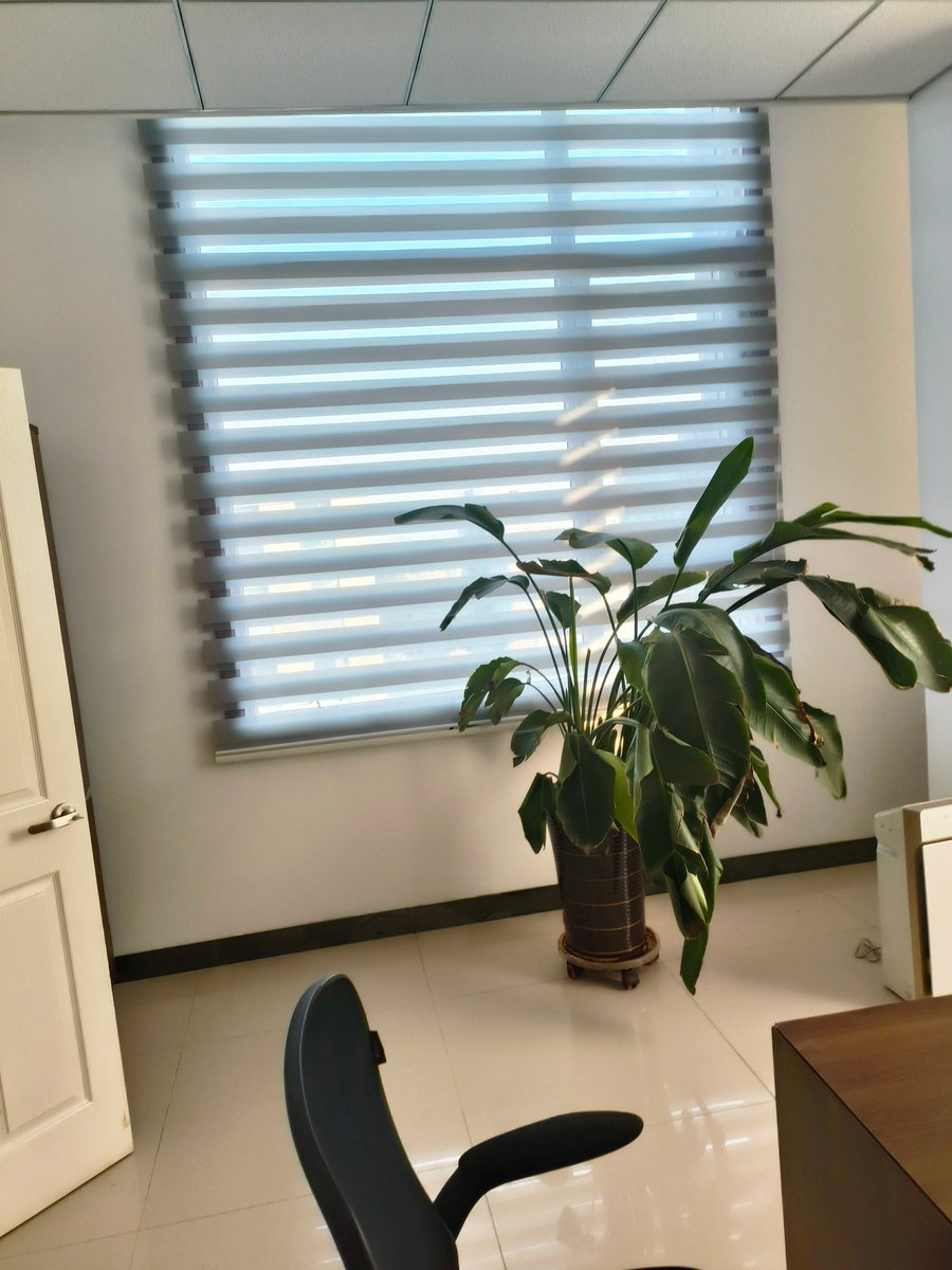 franco mocchi tweet media