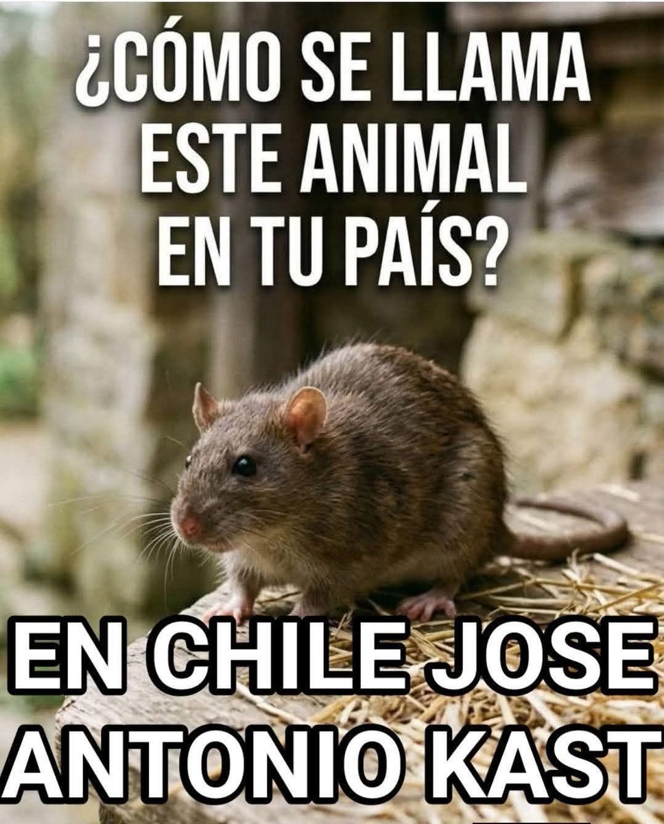 🐾🐾🐕🐾ɹɐןı̣Ԁ🐾🐕🐾🐾 tweet media