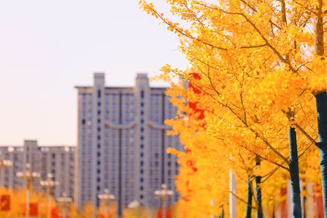 קופסת שימורים tweet media