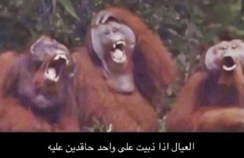 بطل العالم💙 tweet media