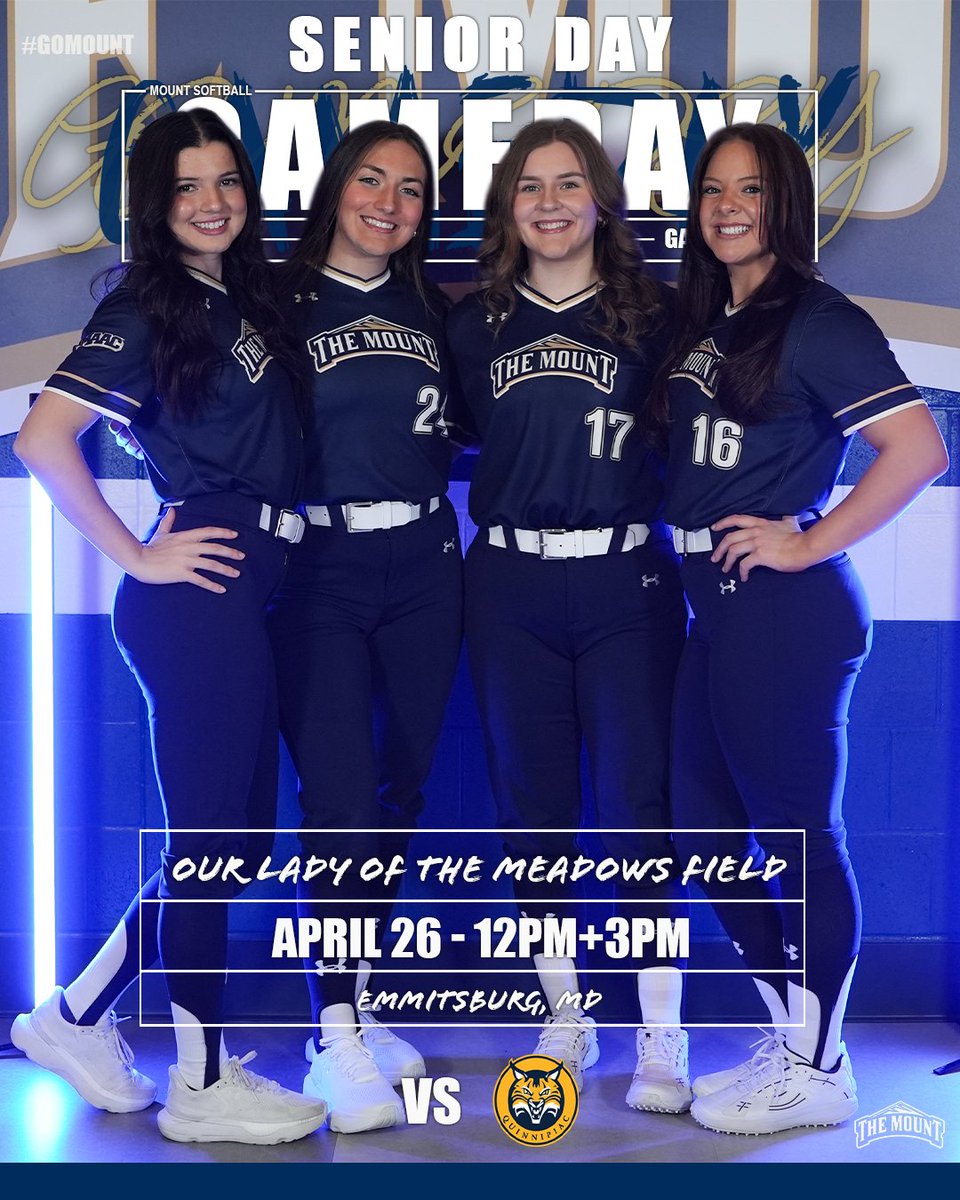 Mount Softball tweet media