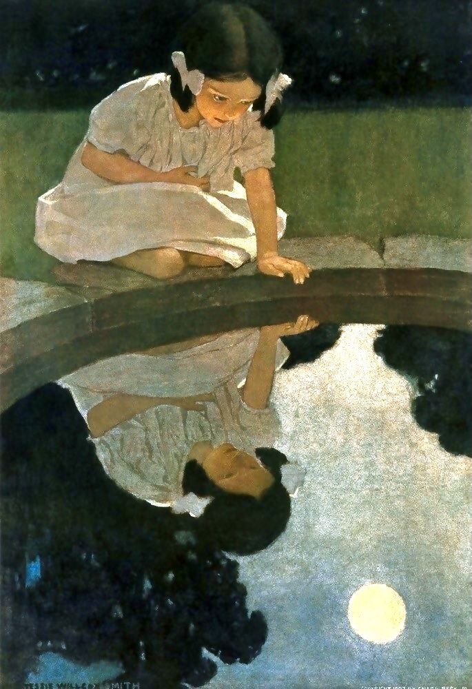 Lisa Mariani🐬⚓🚢 tweet media