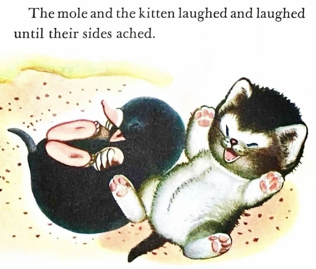 🌾☀️ tweet media