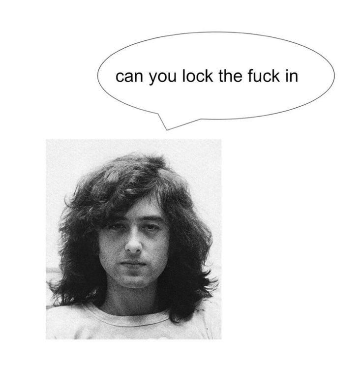 ninico 🐾 tweet media