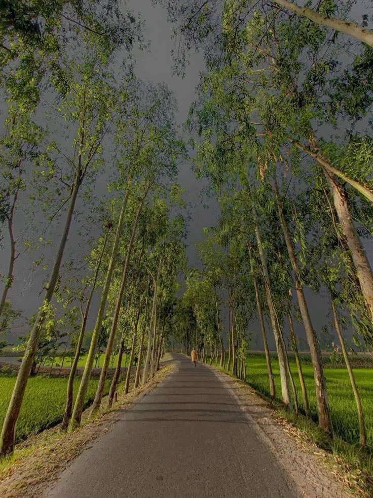 𝘯𝑎𝘵𝑢𝘳𝑒. tweet media