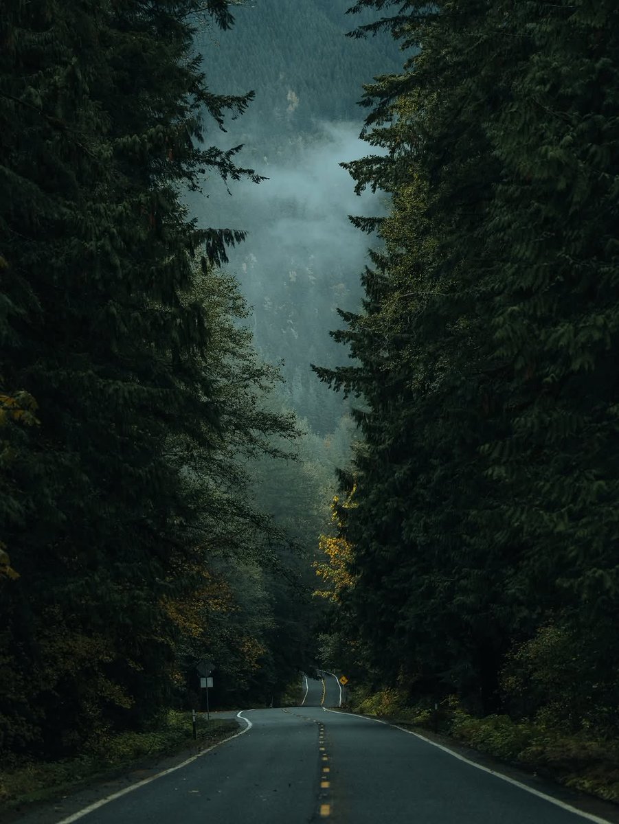 Pictures tweet media