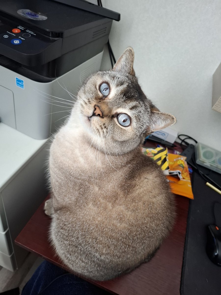 TeranceXD tweet media