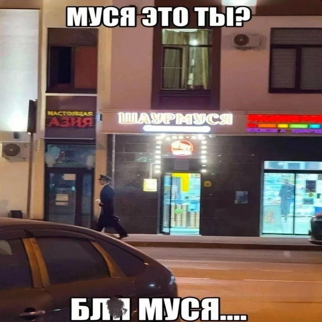 Ivka Windyday_05 tweet media