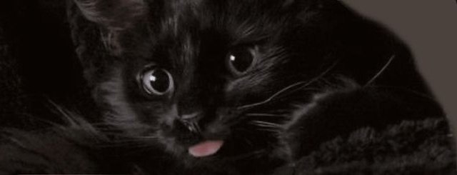 ᅟᅟᅟᅟᅟ.✦ ݁˖ᅟ𝕭𝐄𝐀𝐓𝐑𝐈𝐂𝐄ᅟ tweet media