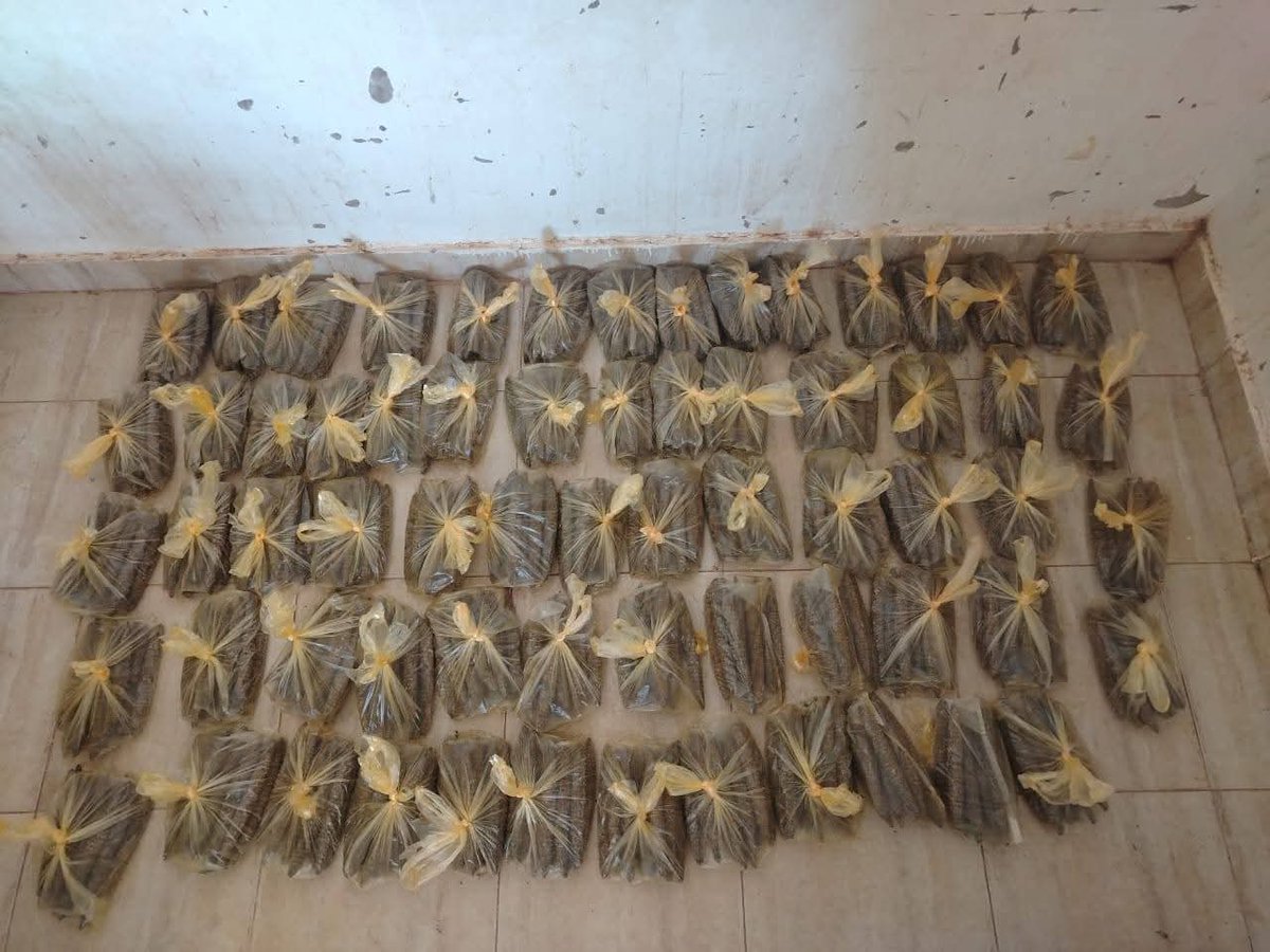 Sudan Plus سودان بلس tweet media