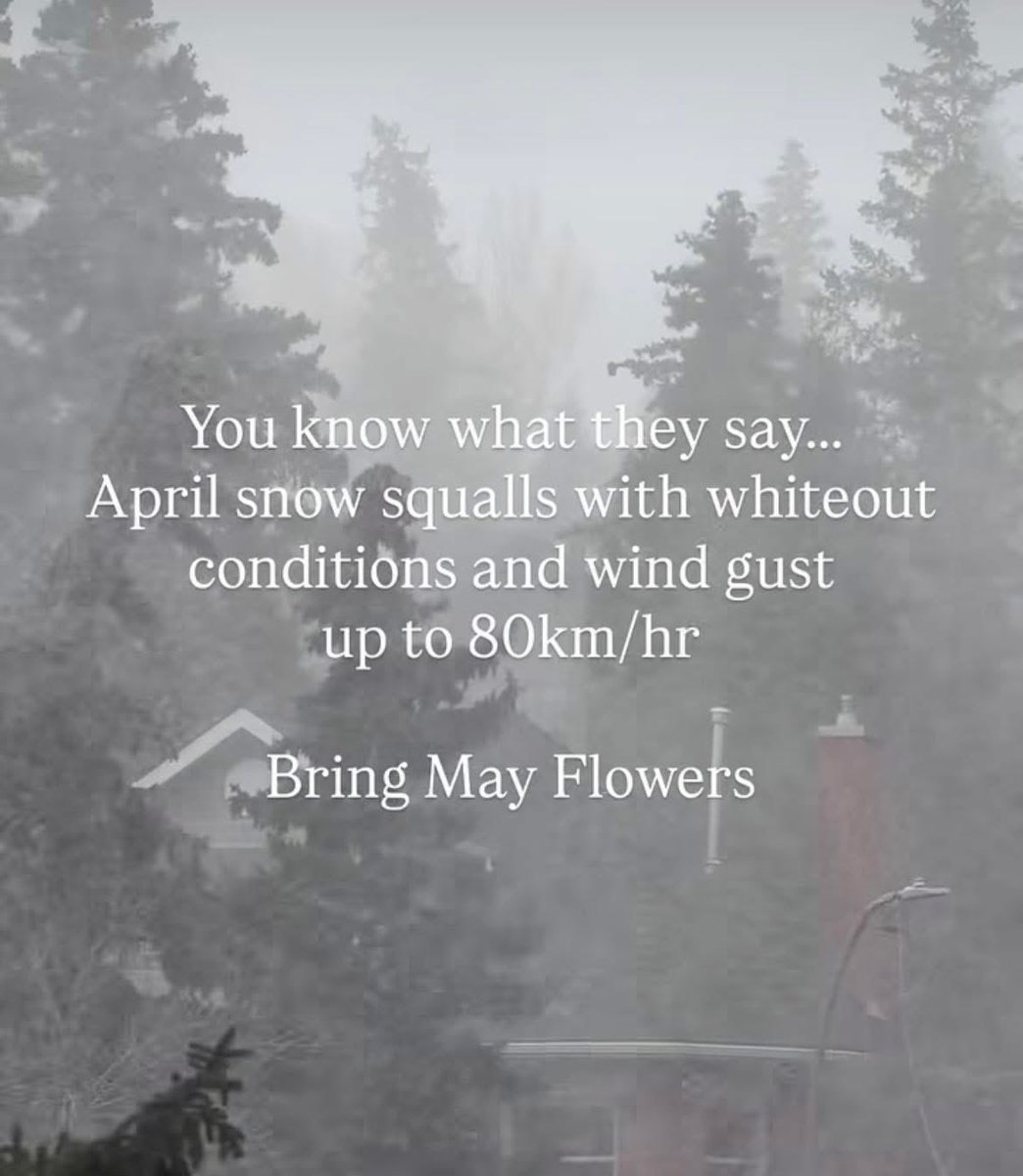 SE_MacDonald's tweet photo. Ah, Spring on the prairies… https://t.co/FOvrsa7eAM