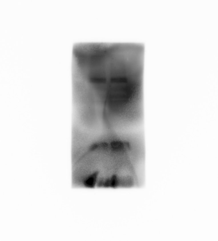 vetpostdoc's tweet photo. 「適度に」と言ったはずですよ？ https://t.co/mzB5GwLPh5
