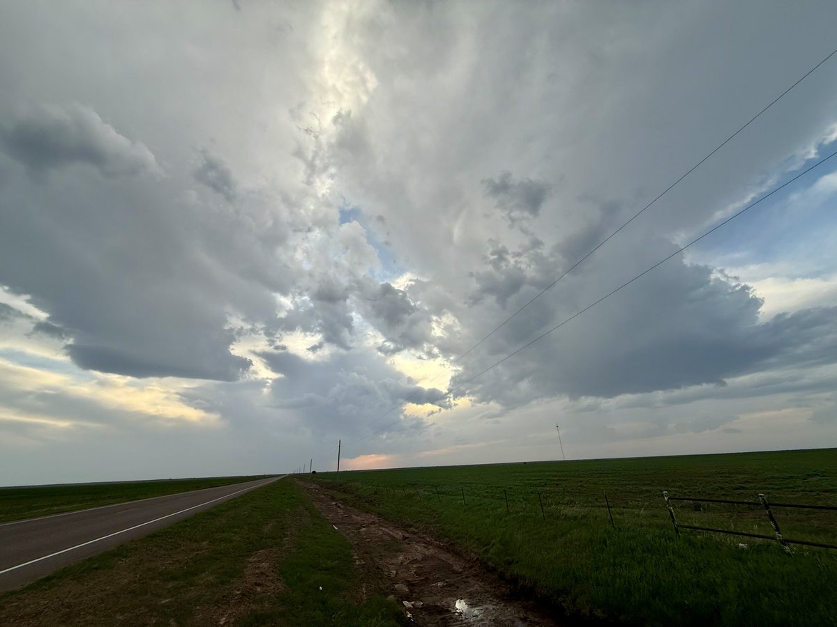 The Tornado Cowboy tweet media