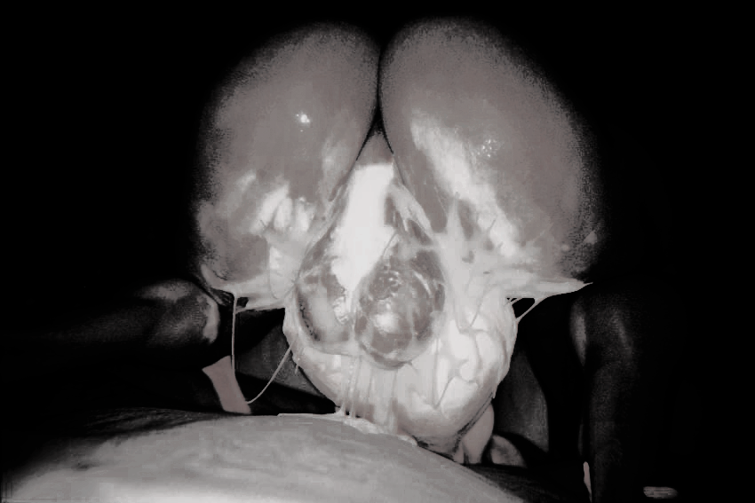 ᅠᅠ ᅠᅠᅠＧ♢ＤＤΞＳＳ tweet media