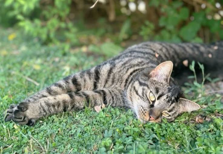 Kristina Bolten tweet media