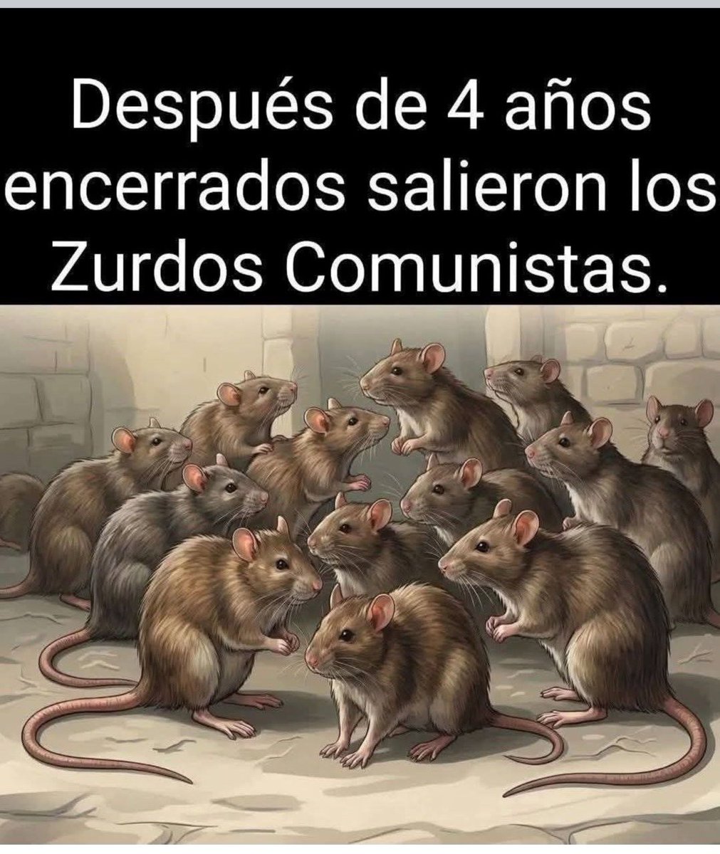 yelizabeth tweet media