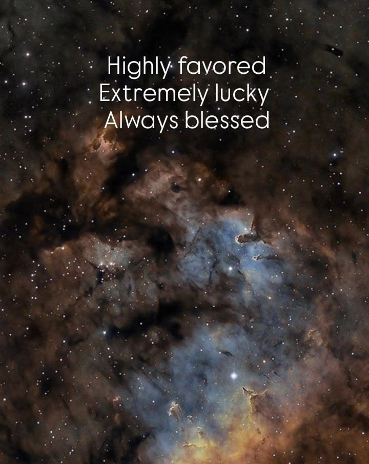 FOLLOW 4 FOLLOW 404.444K tweet media