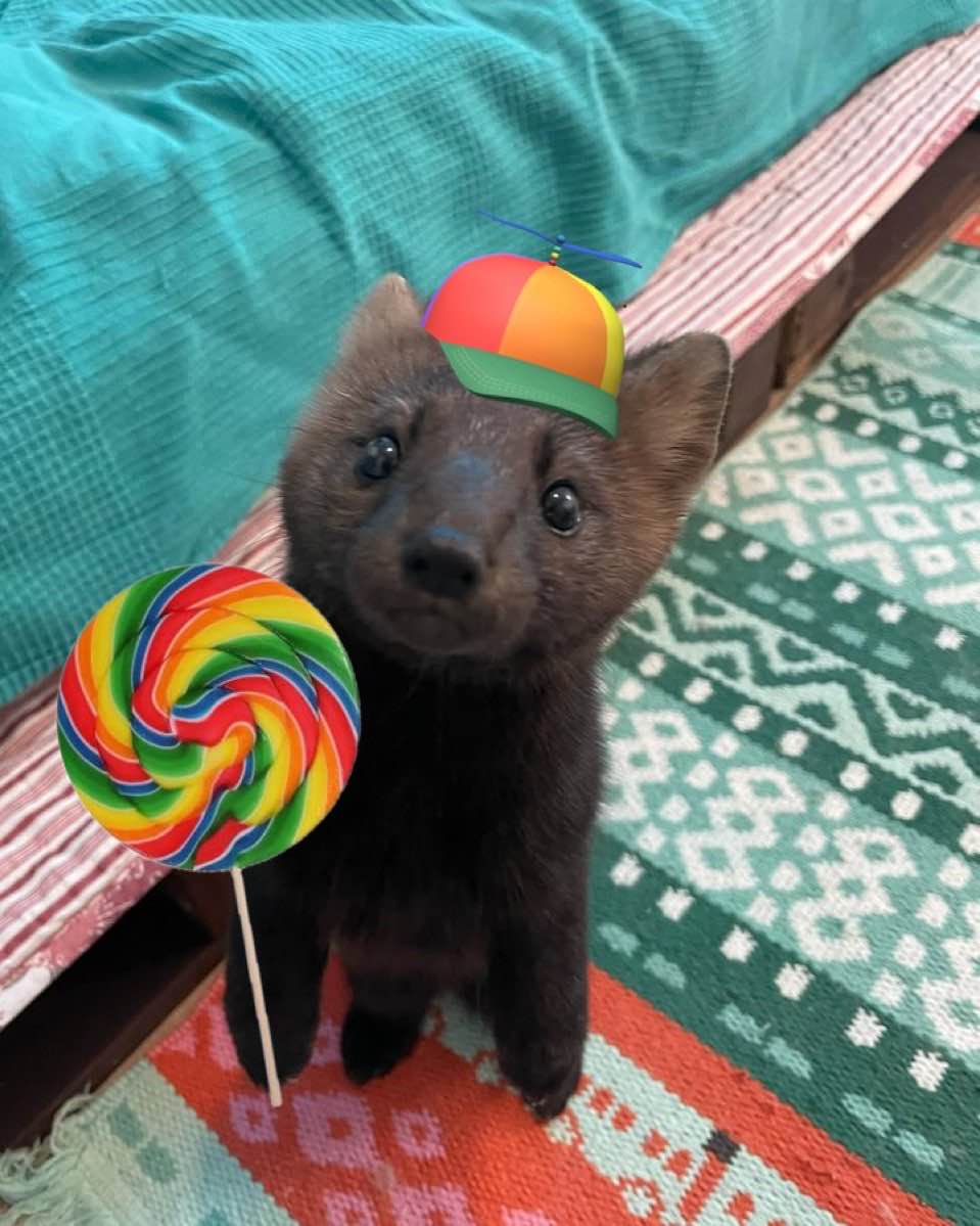 Bryn ➡️ Ac tweet media