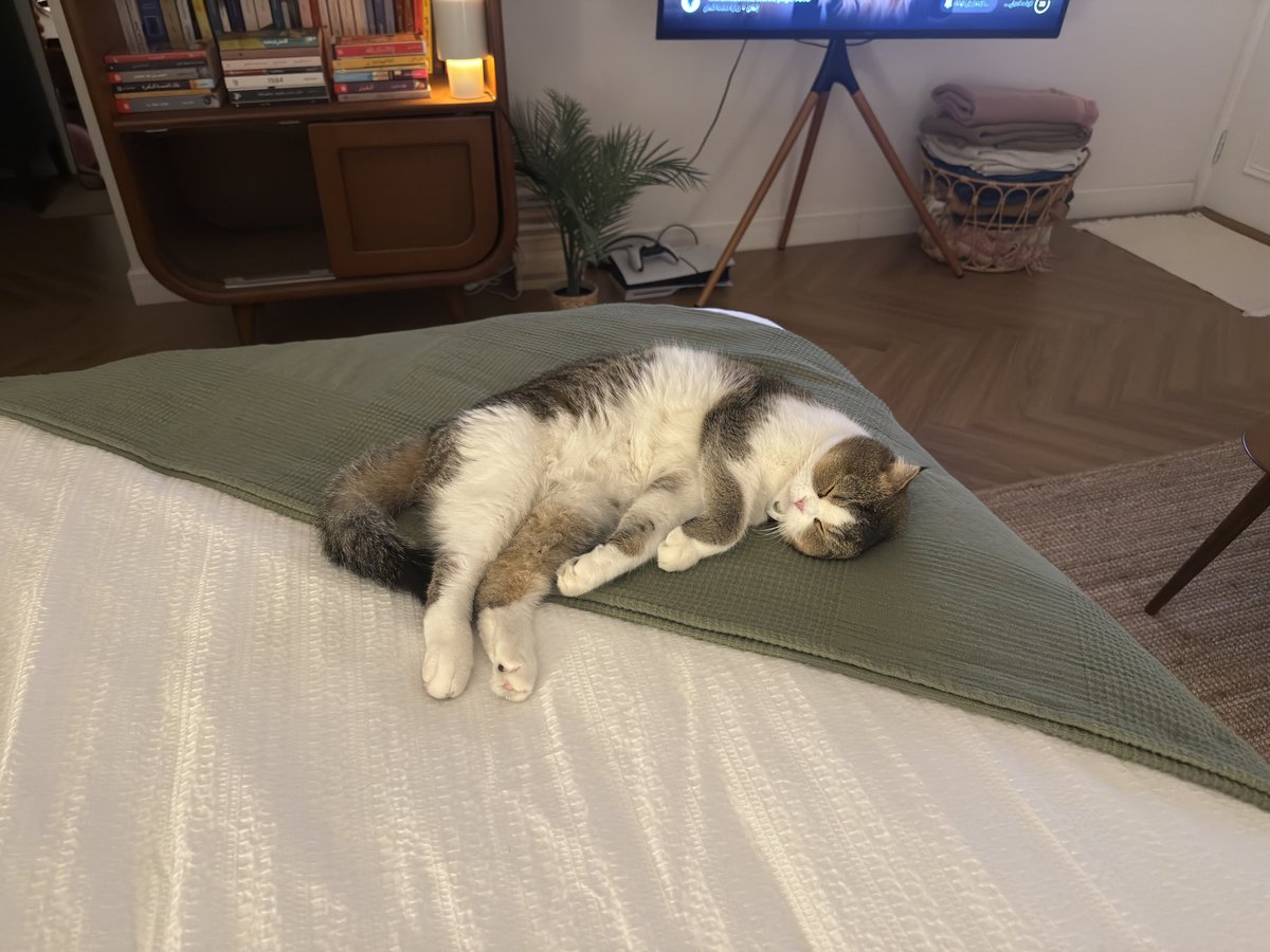 الهنوف tweet media