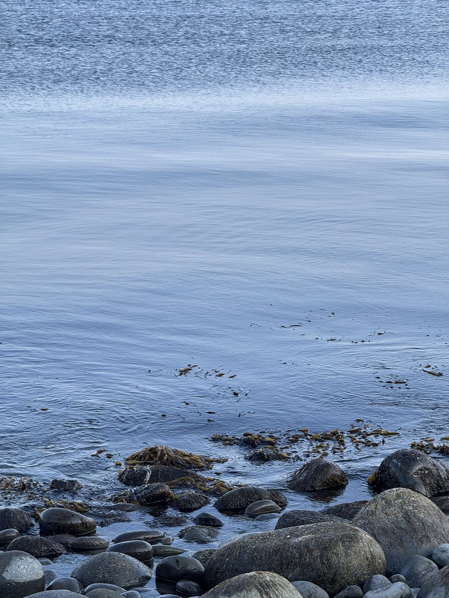 ka⭐︎zz tweet media