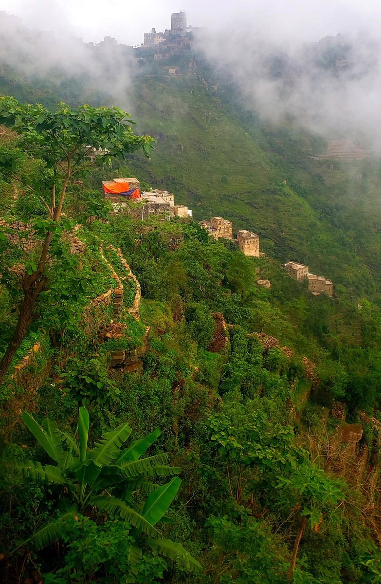 أحمد المعافري tweet media