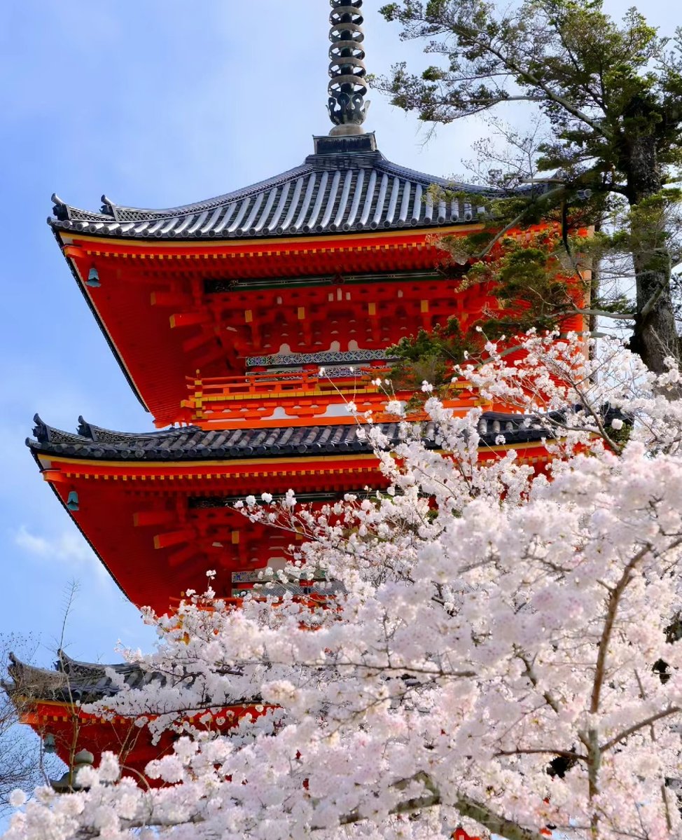 Amy Louise Clegg tweet media