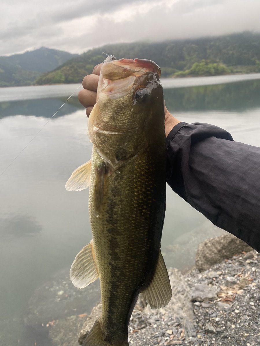 ﾏｴﾀﾞﾀﾞ tweet media