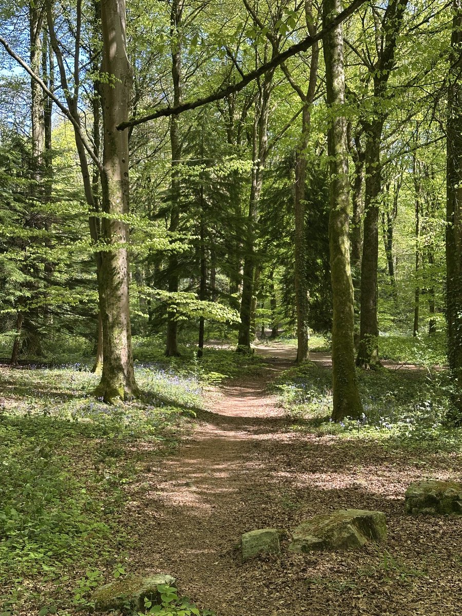 everly 🏳️‍⚧️ tweet media