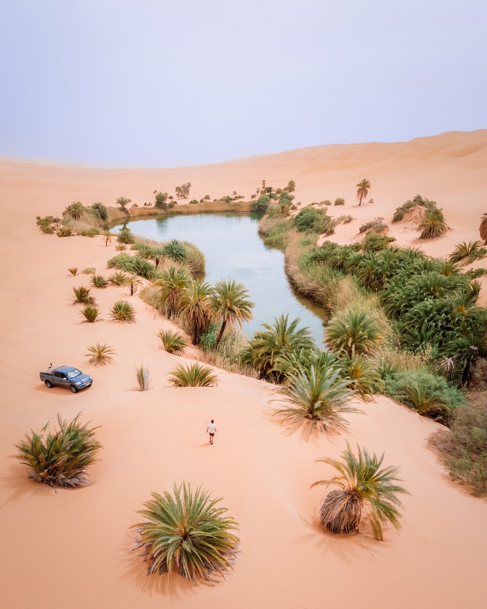 aseelswaid9's tweet photo. The amazing diversity in the Libyan desert https://t.co/ZBIopWWTRM