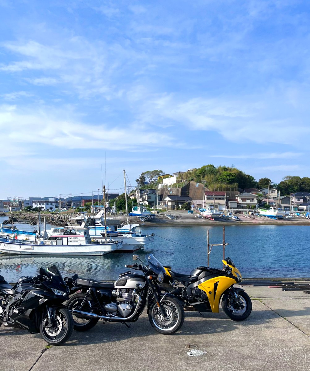 saorin🫧 tweet media