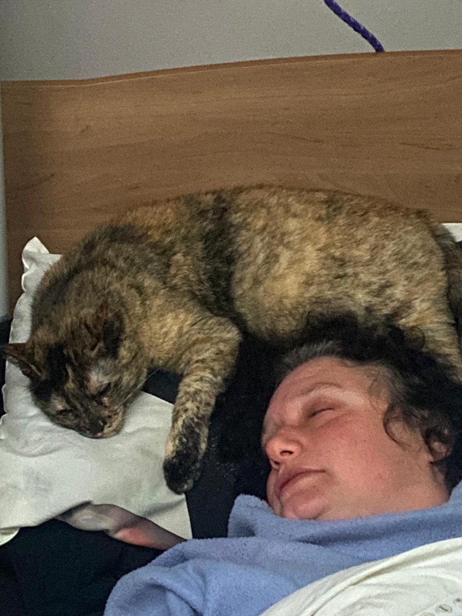 Sophie12001's tweet image. "Mes filles et moi"
#love #cat #together
#chat