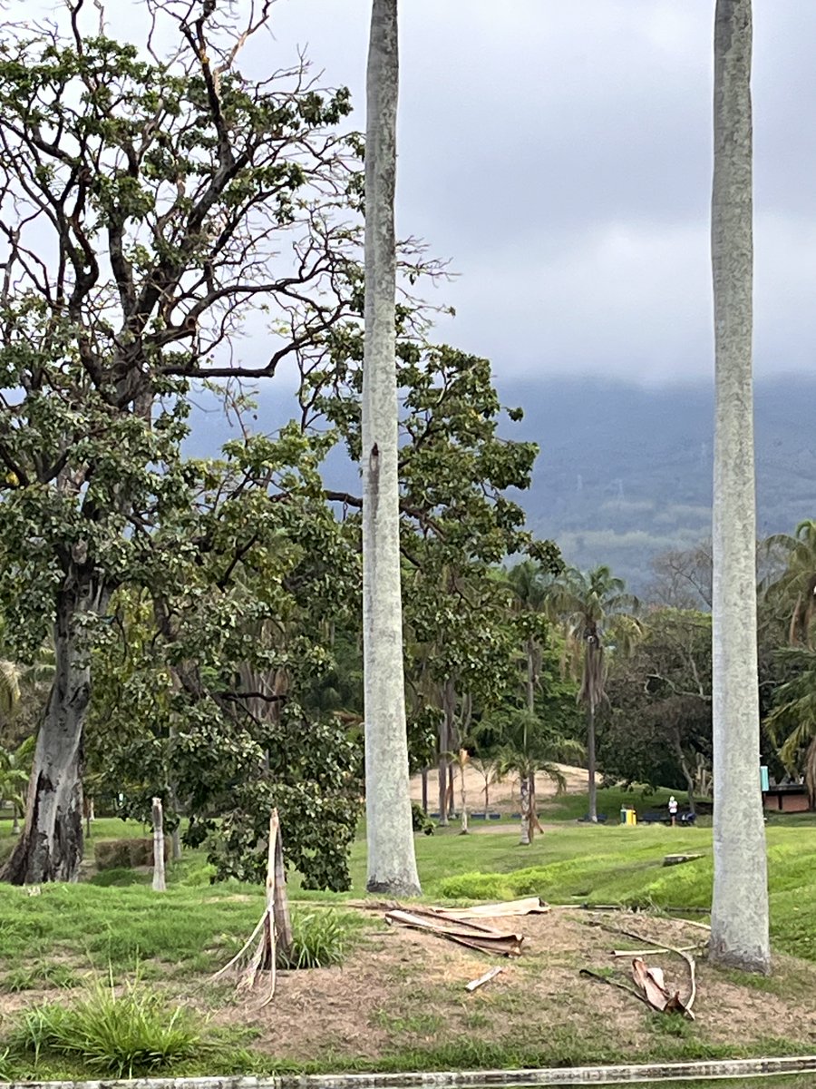 Maria Gabriela Escovar tweet media