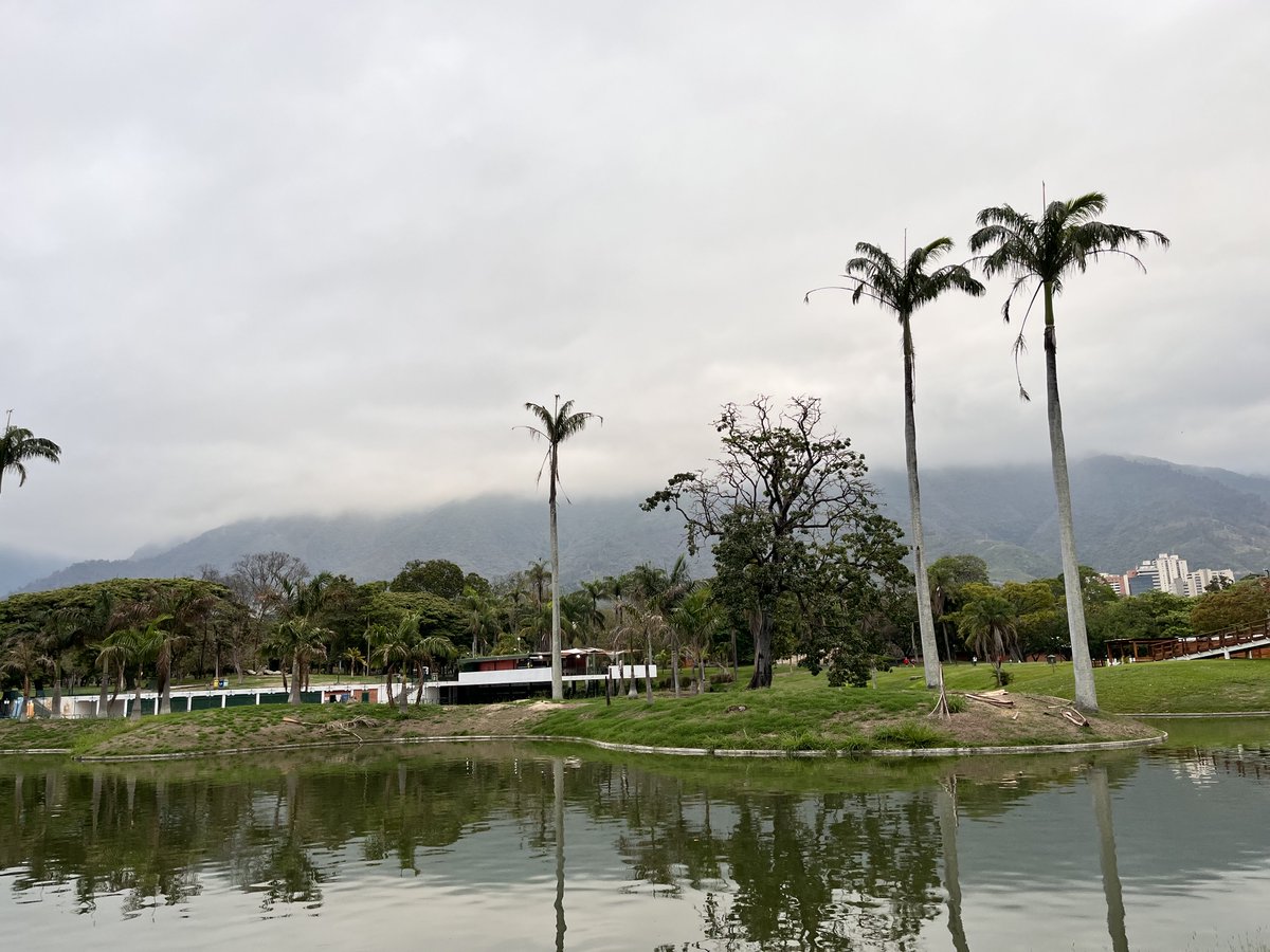 Maria Gabriela Escovar tweet media