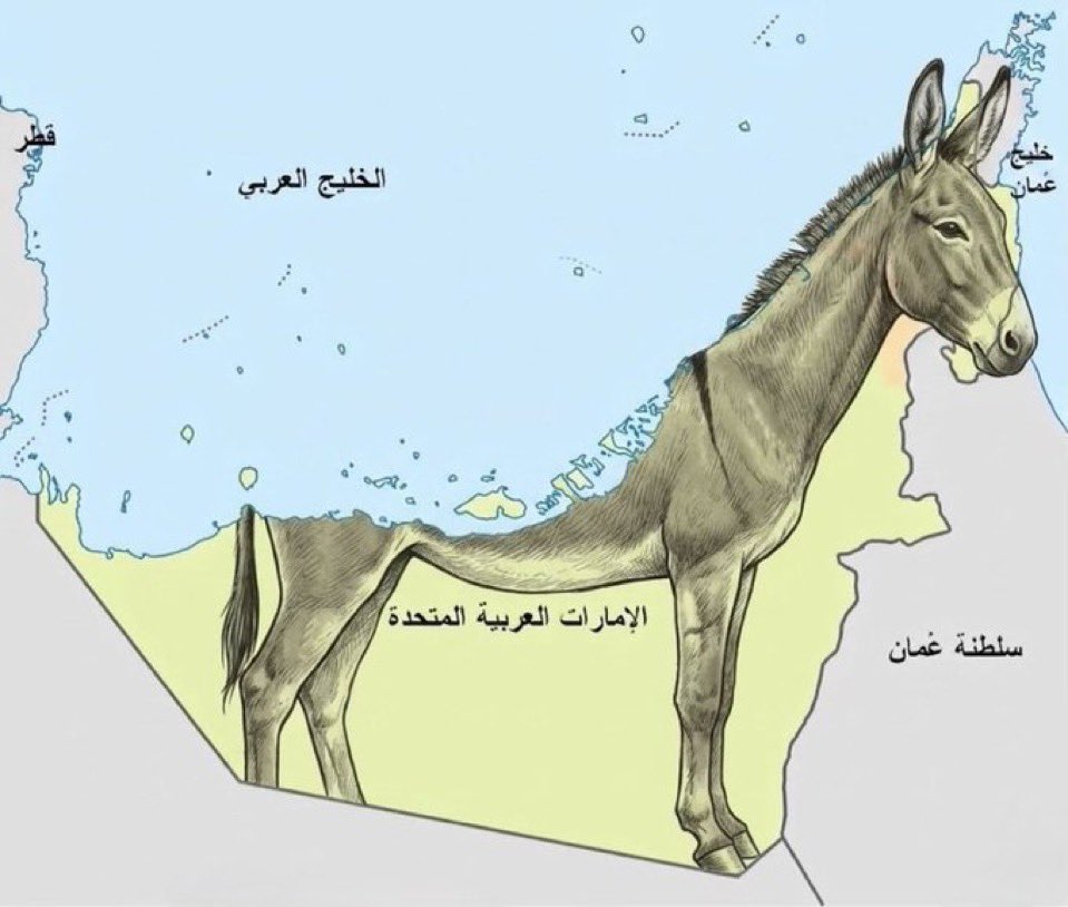 الشمالي tweet media