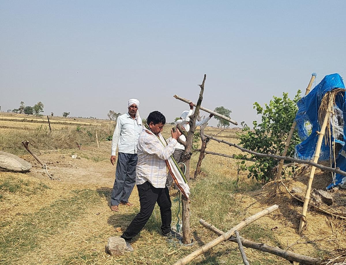 DM Prayagraj tweet media