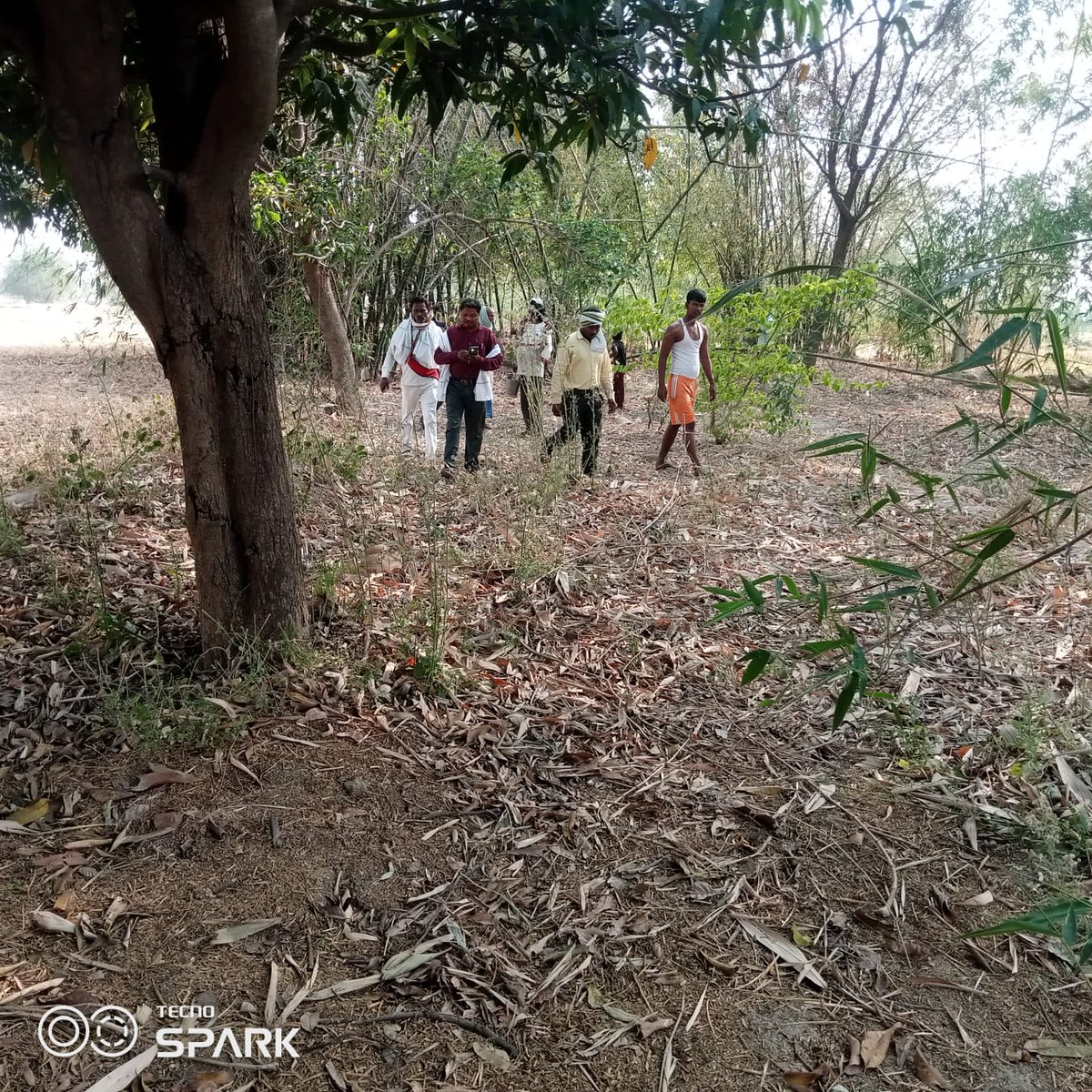 DM Prayagraj tweet media