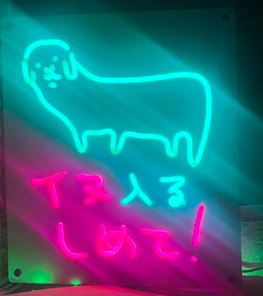 猫のムスカ🐈いなぼー𓃠🅘🅝🅐🅑🅞̄𓃟𝕄𝕌𝕊𝕂𝔸𖣊𝐁𝐀𝐋𝐔𝐒𖡛 tweet media