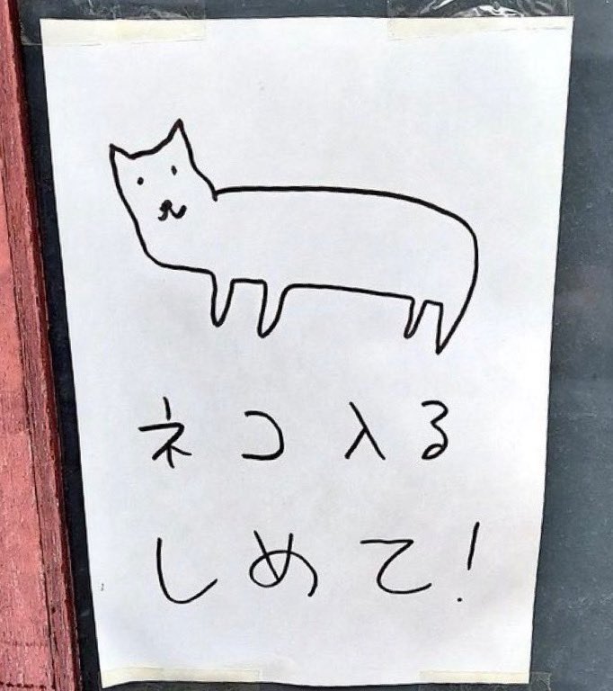 猫のムスカ🐈いなぼー𓃠🅘🅝🅐🅑🅞̄𓃟𝕄𝕌𝕊𝕂𝔸𖣊𝐁𝐀𝐋𝐔𝐒𖡛 tweet media