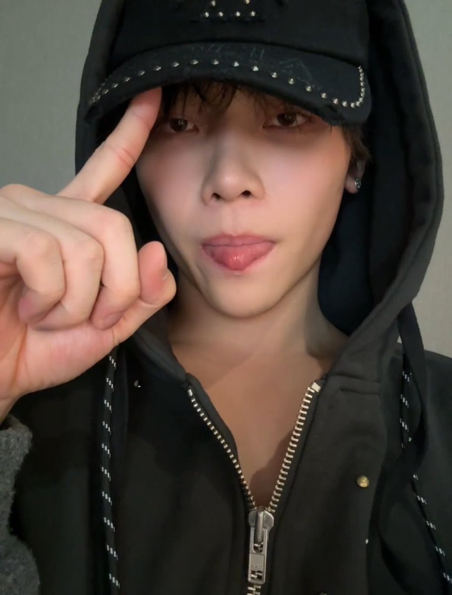 wren ⋆ tweet media